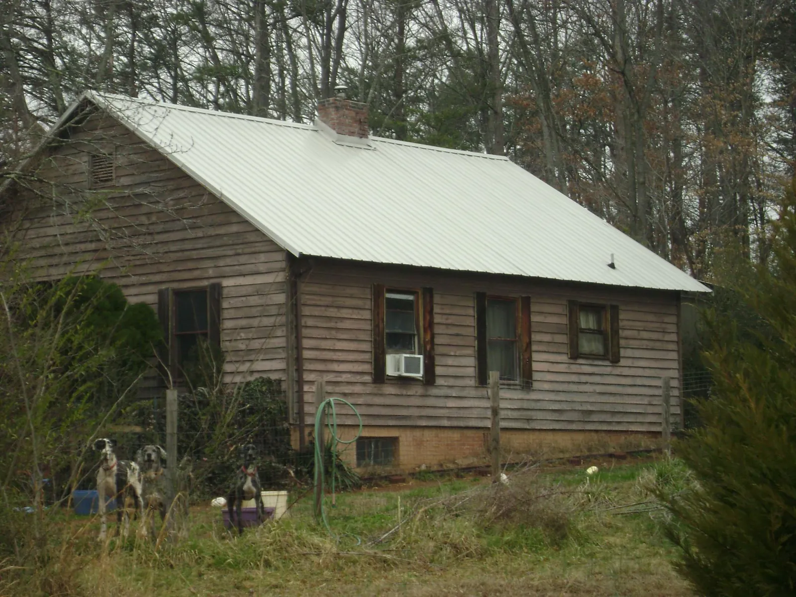 White metal roof on an old wood sided farmhouse, from a Asphalt Shingle Roof Repair job in Amery